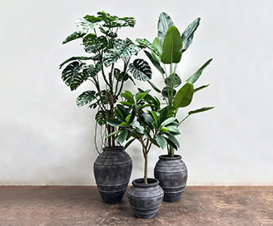 Indoor and Outdoor Potted Artificial Plants - Ficus benjamina, Pachira aquatica, Ficus benjamina, Large Umbrella Leaf